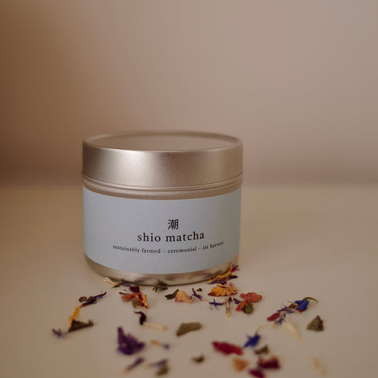Shio Matcha